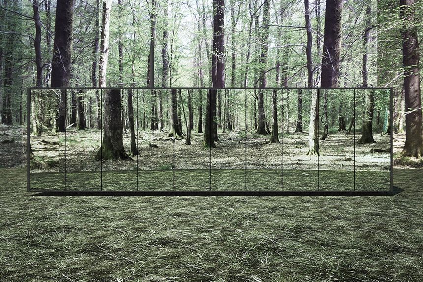 renta mamparas muros para eventos