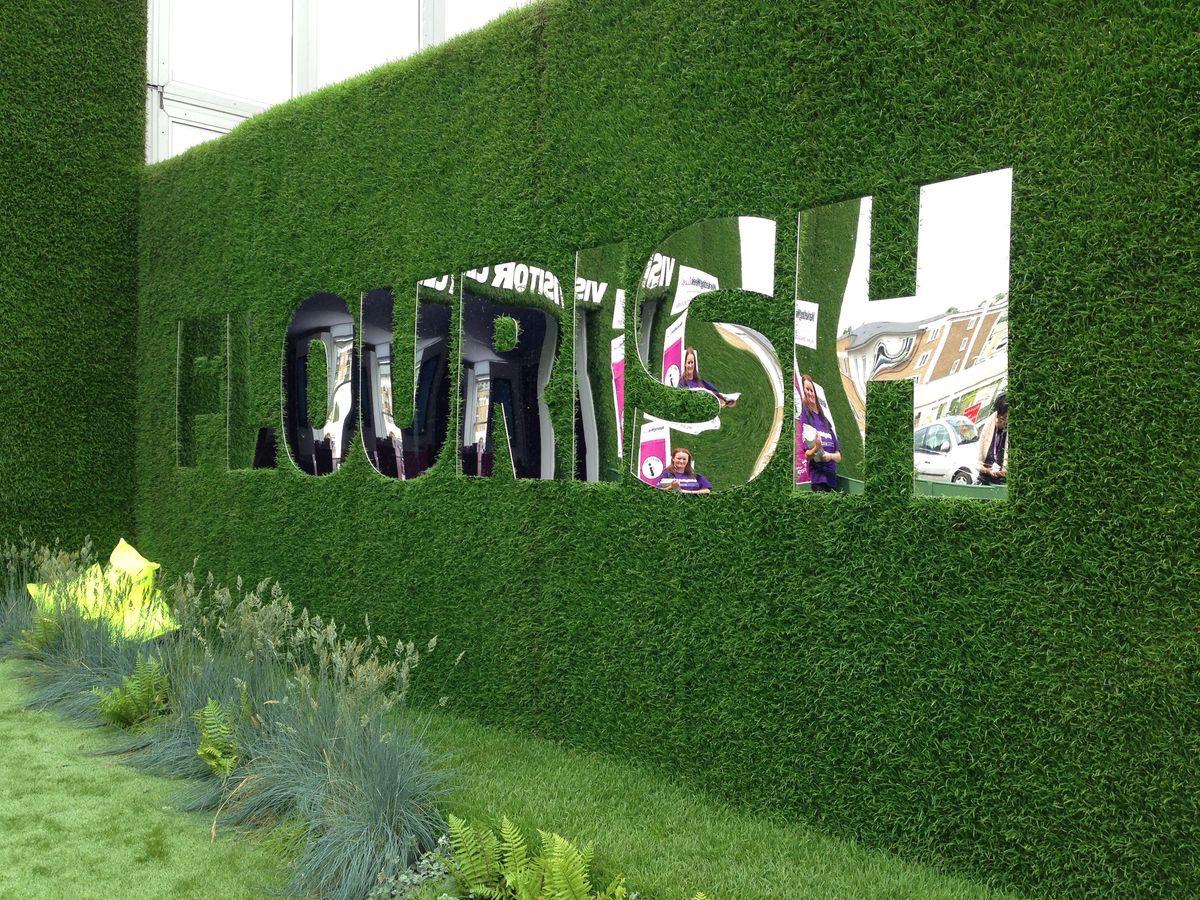 renta mamparas muros para eventos