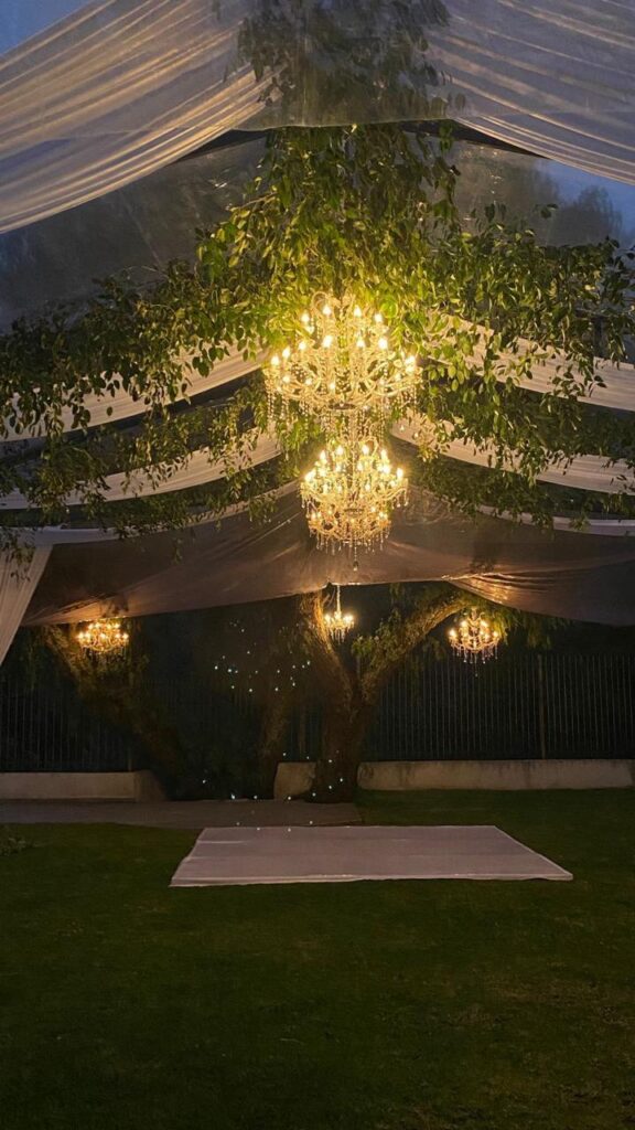 Renta de carpa de lujo para eventos